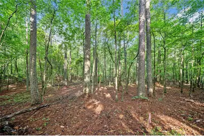 225 Brock Trail, Milton, GA 30004 - Photo 15
