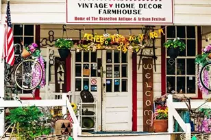 754 Winding Rose Dr, Hoschton, GA 30548 - Photo 47