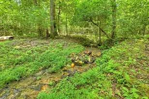 785 Wehunt Rd, Blue Ridge, GA 30513 - Photo 57