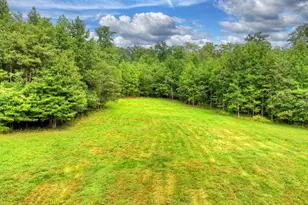 785 Wehunt Rd, Blue Ridge, GA 30513 - Photo 65