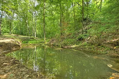 785 Wehunt Road, Blue Ridge, GA 30513 - Photo 55