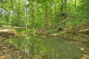 785 Wehunt Rd, Blue Ridge, GA 30513 - Photo 55