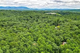 1122 Beaver Lake Dr, Ellijay, GA 30540 - Photo 61