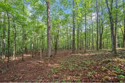 230 Brock Trail, Milton, GA 30004 - Photo 17