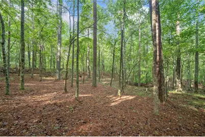 230 Brock Trail, Milton, GA 30004 - Photo 13