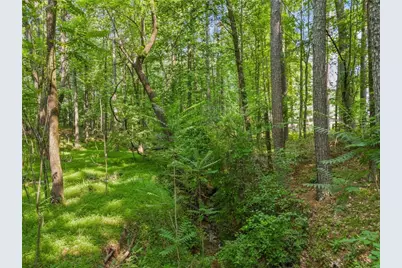 230 Brock Trail, Milton, GA 30004 - Photo 21