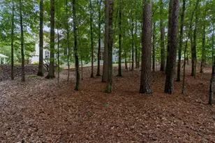 3637 Spring Beauty Ct, Powder Springs, GA 30127 - Photo 35