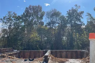 1246 Lucan Ln, Lawrenceville, GA 30043 - Photo 3