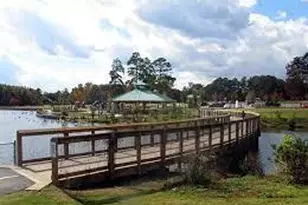 1246 Lucan Ln, Lawrenceville, GA 30043 - Photo 49