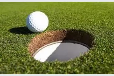 1040 Bear Paw Ridge, Dahlonega, GA 30533 - Photo 7