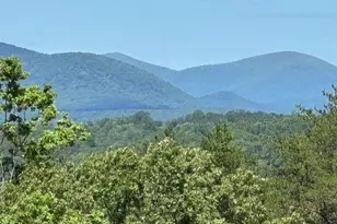 1048 Bear Paw Ridge, Dahlonega, GA 30533 - Photo 1