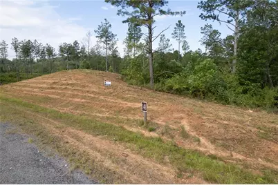 Lt 148 Eddy Waters Circle, Talking Rock, GA 30175 - Photo 19