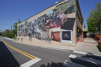 512 Neese Road, Woodstock, GA 30188 - Photo 57