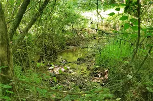 606 Keetor Rd, Talking Rock, GA 30175 - Photo 81