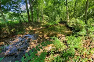 606 Keetor Rd, Talking Rock, GA 30175 - Photo 71