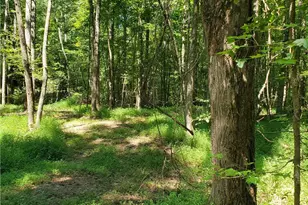 606 Keetor Rd, Talking Rock, GA 30175 - Photo 65