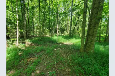 606 Keetor Road, Talking Rock, GA 30175 - Photo 89