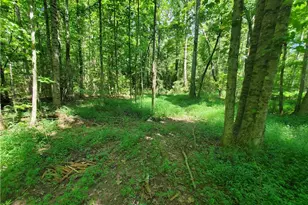 606 Keetor Rd, Talking Rock, GA 30175 - Photo 89