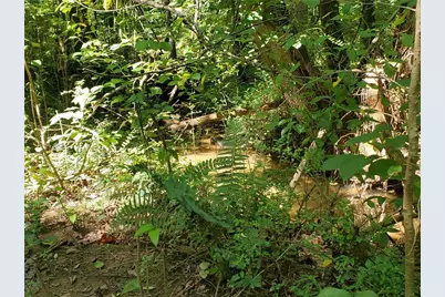 606 Keetor Road, Talking Rock, GA 30175 - Photo 87