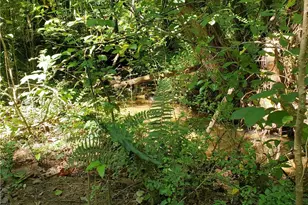 606 Keetor Rd, Talking Rock, GA 30175 - Photo 87