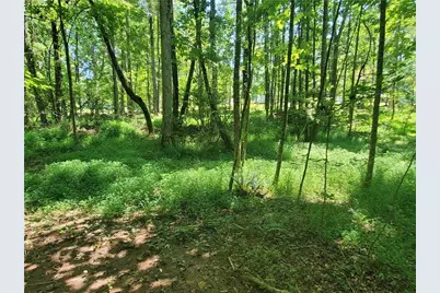 606 Keetor Road, Talking Rock, GA 30175 - Photo 85