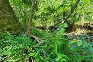 606 Keetor Rd, Talking Rock, GA 30175 - Photo 75