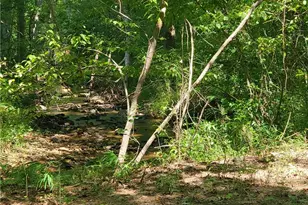 606 Keetor Rd, Talking Rock, GA 30175 - Photo 67