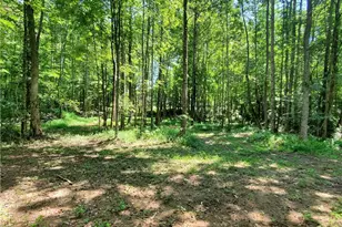 606 Keetor Rd, Talking Rock, GA 30175 - Photo 73