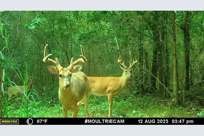 742 Harmony Gates Drive, Commerce, GA 30530 - Photo 27