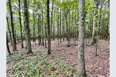 742 Harmony Gates Drive, Commerce, GA 30530 - Photo 21