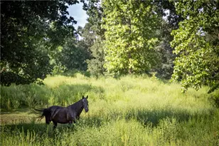 4274 Pillsbury Rd, Gainesville, GA 30507 - Photo 25