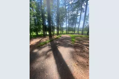 1764 Flatbottom Road, Ball Ground, GA 30107 - Photo 5