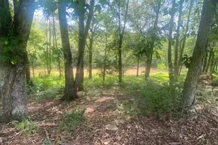 1764 Flatbottom Rd, Ball Ground, GA 30107 - Photo 1