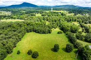 6223 Hulsey Rd, Clermont, GA 30527 - Photo 49