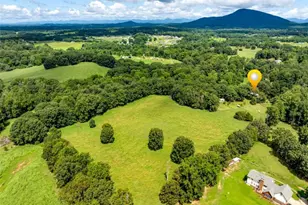 6223 Hulsey Rd, Clermont, GA 30527 - Photo 55