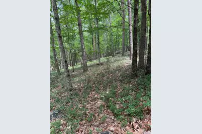 284 Vistaview Parkway, Jasper, GA 30143 - Photo 5