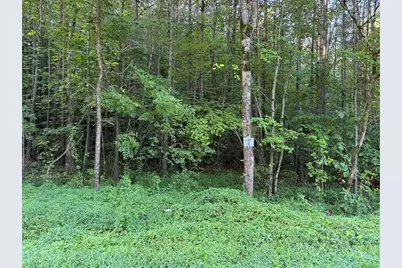 0 W Price Creek Road, Talking Rock, GA 30175 - Photo 1