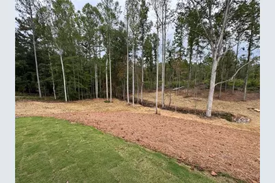 262 Corinth Five Points Road, Buchanan, GA 30113 - Photo 45