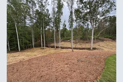 262 Corinth Five Points Road, Buchanan, GA 30113 - Photo 43