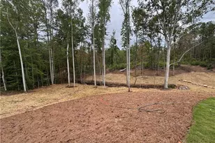 262 Corinth-Five Points Rd, Buchanan, GA 30113 - Photo 43