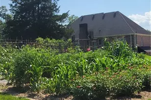 184 Scott Cir, Toccoa, GA 30577 - Photo 35