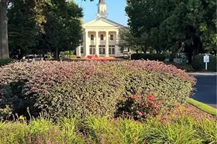 6007 Cedar Wood Ct, Hoschton, GA 30548 - Photo 39