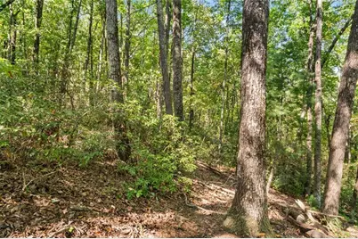 288 Blazingstar Trail, Big Canoe, GA 30143 - Photo 5