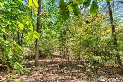 288 Blazingstar Trail, Big Canoe, GA 30143 - Photo 3