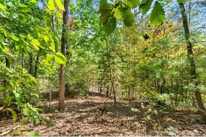 288 Blazingstar Trail, Big Canoe, GA 30143 - Photo 3