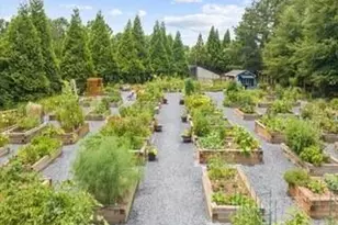 3217 Black Gum Ln SW, Gainesville, GA 30504 - Photo 89