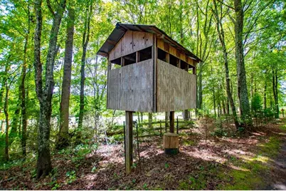 323 Newman Road, Franklin, GA 30217 - Photo 27