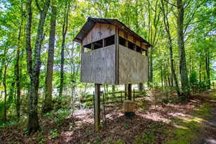 323 Newman Rd, Franklin, GA 30217 - Photo 27