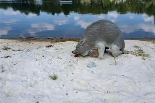 2966 Riviera Dr NW, Conyers, GA 30012 - Photo 63