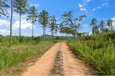 664 Wiggins Road, Lyerly, GA 30730 - Photo 53
